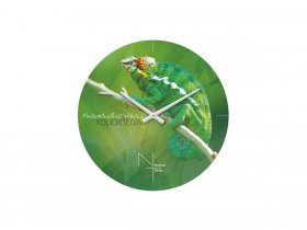 Часы настенные Nicole Time NT503 в Новомихайловке - novomihajlovka.mebel-nsk.ru | фото