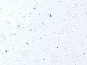 Мебельный щит 3000*600/6мм № 55гл белая в Новомихайловке - novomihajlovka.mebel-nsk.ru | фото